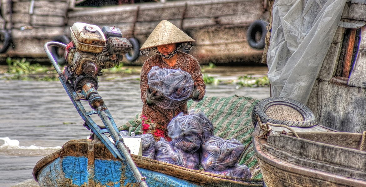 Mekong Delta Day Trip